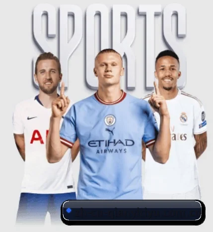 关于数字传媒矩阵 - 体育资讯服务